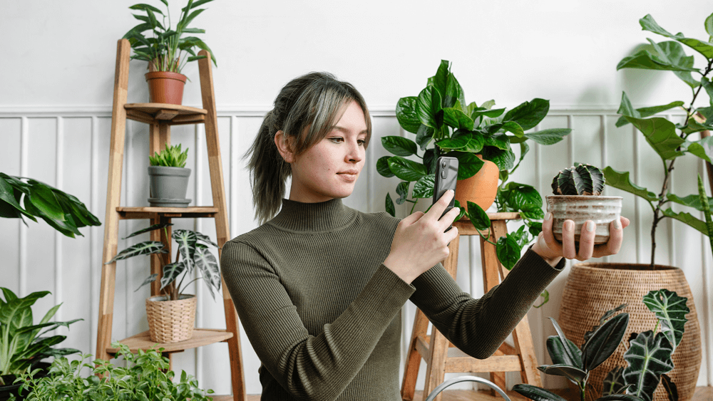 Women taking picture of a plan for social media, in a room full of house plants, Engaging your audience