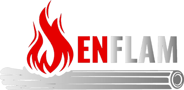 Enflam logo tp