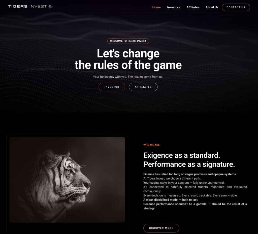 Tigers invest - Brand Identity by 33 Genesis Road - Website Design & Development homepage layout
