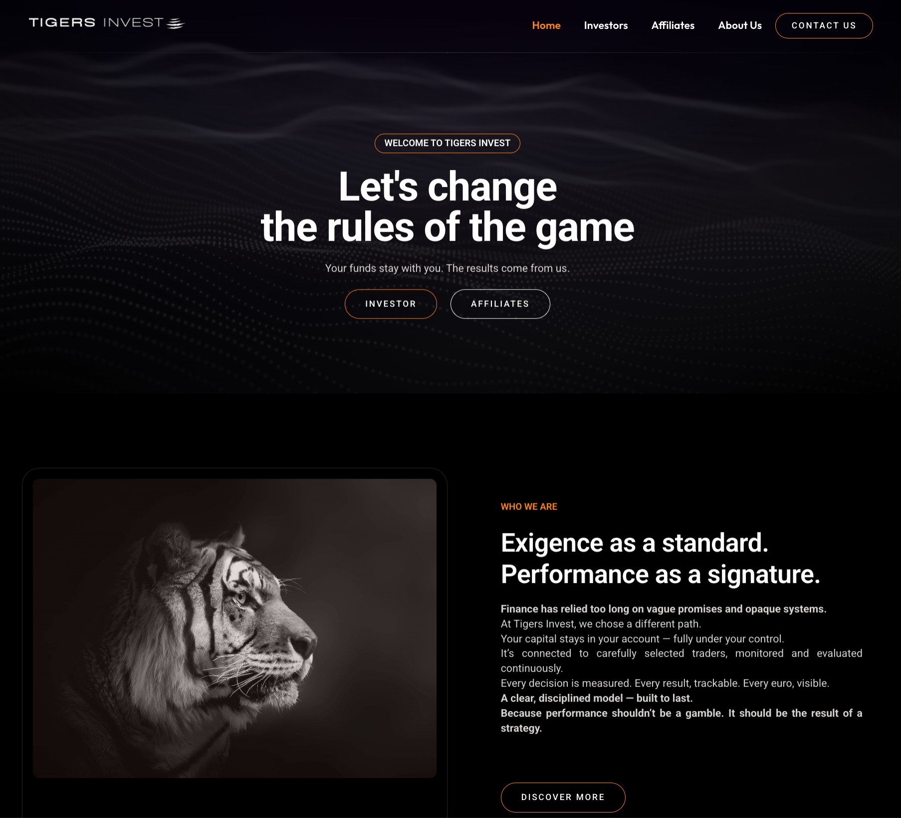 Tigers invest - Brand Identity by 33 Genesis Road - Website Design & Development homepage layout