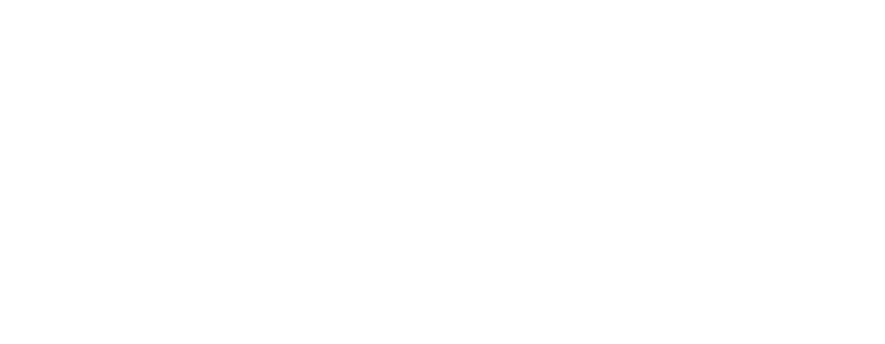 Mogesse